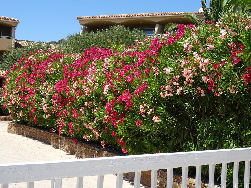 Hotel Tamaris Le Lavandou Exterior foto